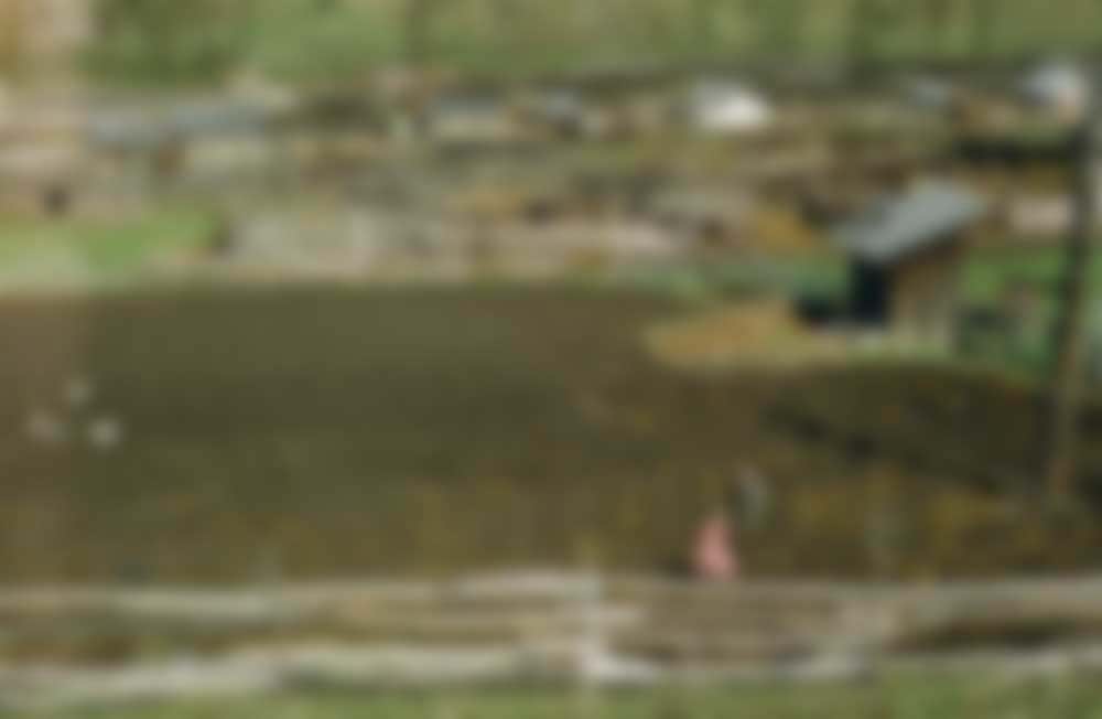 Children and chickens in an unknown village.