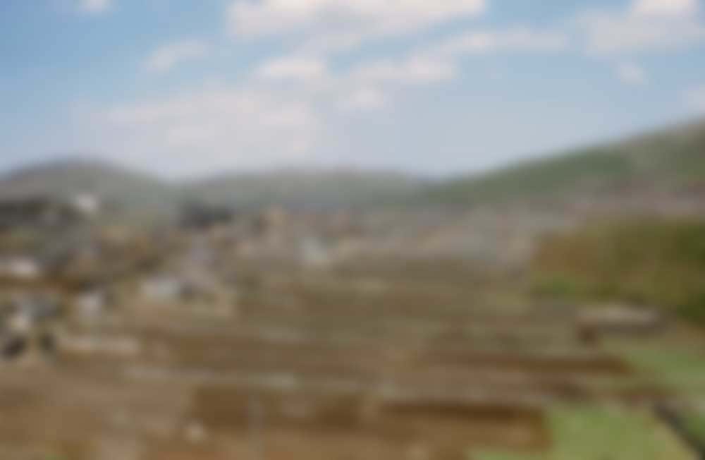 Household plots in an unknown village.