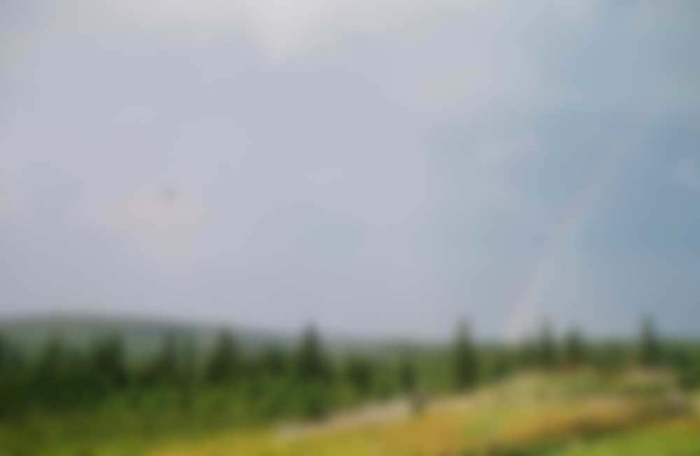 A rainbow over the taiga.