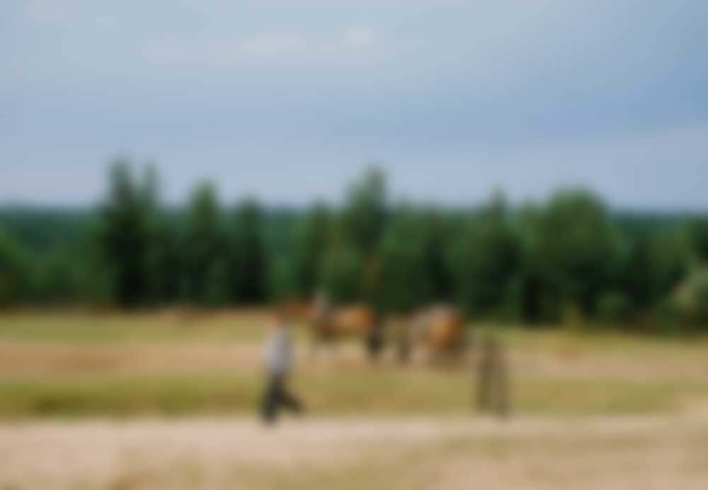 Two men and a horse cart, snapped from a moving train.
